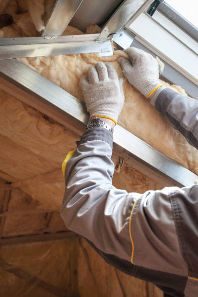 Best Wall Insulation Installation  in Ecorse, MI